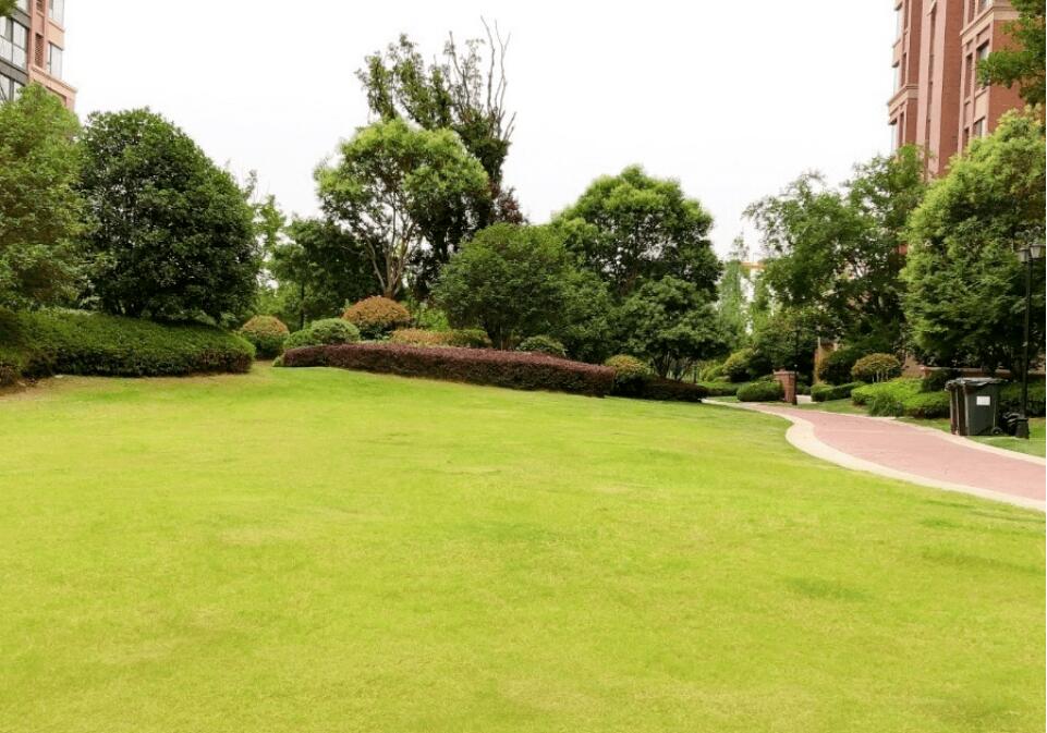 客戶見(jiàn)證