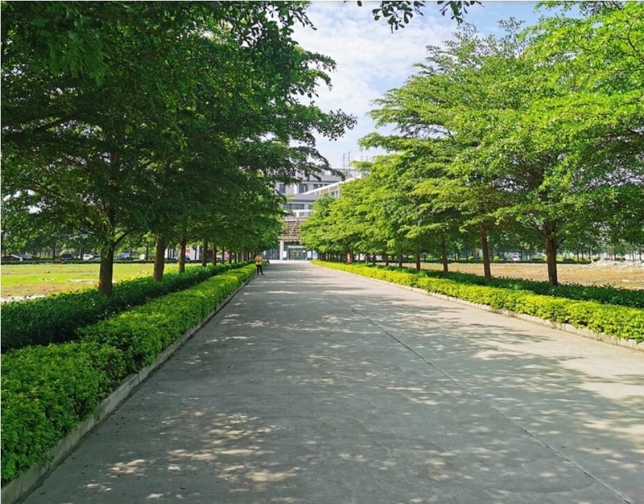 客戶見(jiàn)證